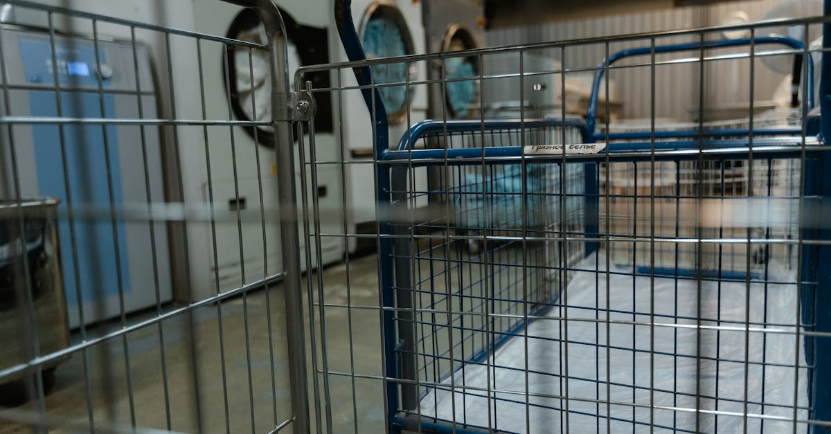 Comparing Biodegradable and Traditional Detergents for Household Use