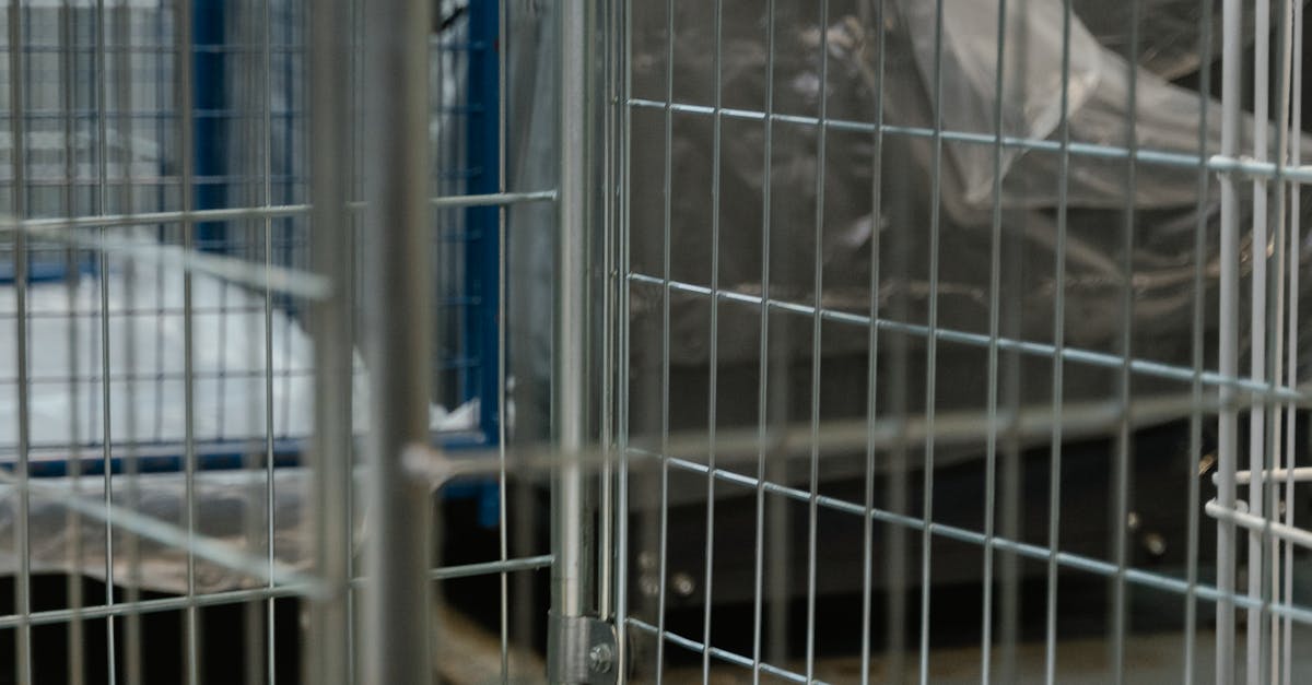 How to Prepare Your Clothes for Ironing Services